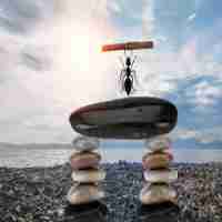 智‌能﻿体‌验‍设‌计﻿